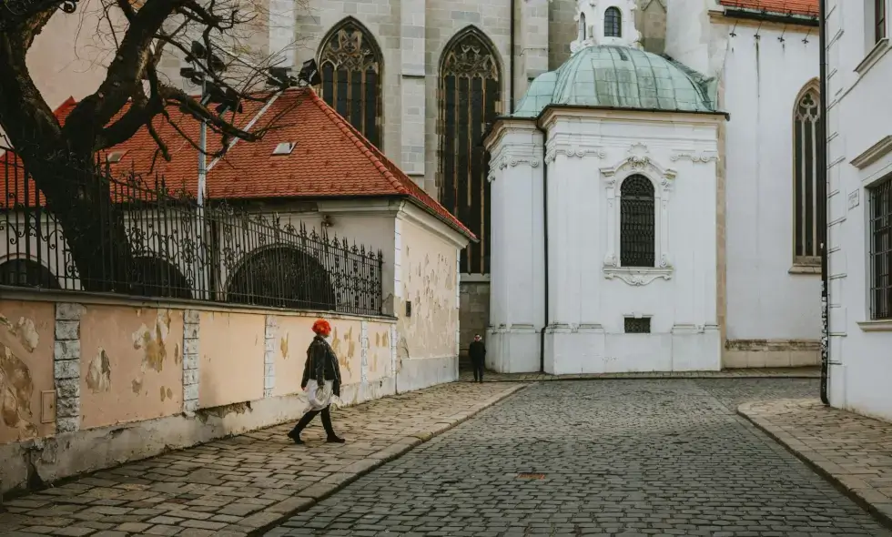 Prednosti kupovine i korišćenja slovačke e-vinjete