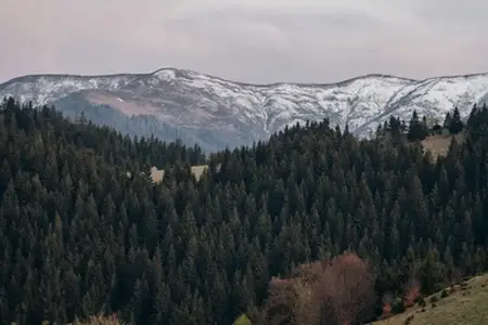 Купување на Романска вињета и совети за патување